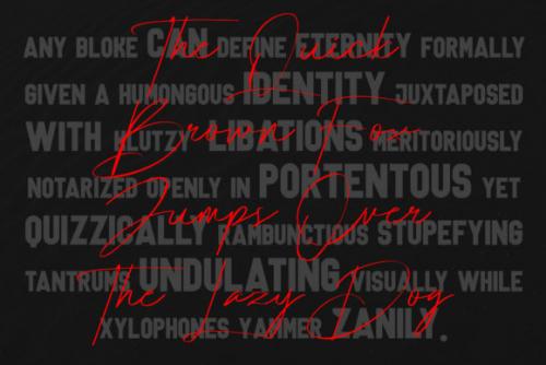 Lanterosy Sans Serif 2