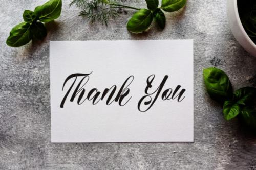 Medina Script Font 6 (1)