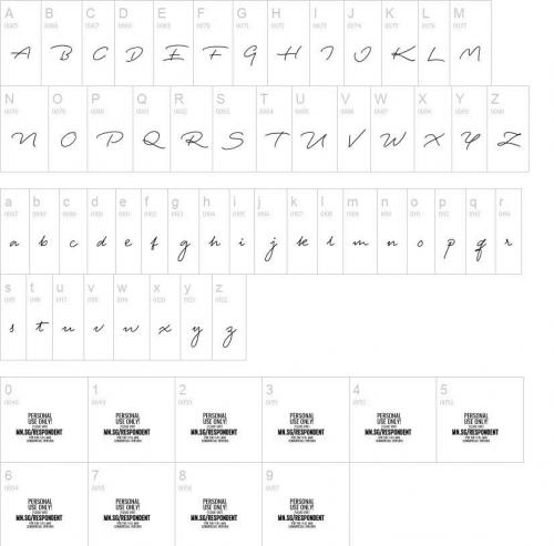 Respondent-Font-10