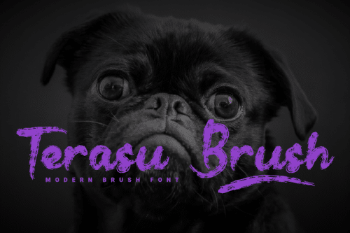 Terasu Brush Font
