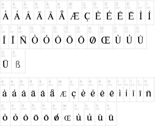 Times-New-Normal-Font-2