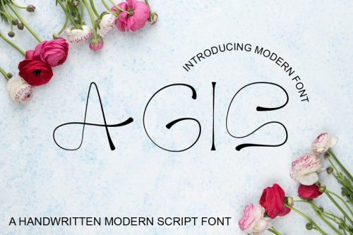 Agis-Font