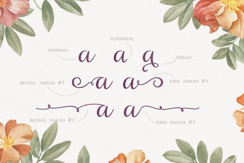 Ariadne-Font-Family-2