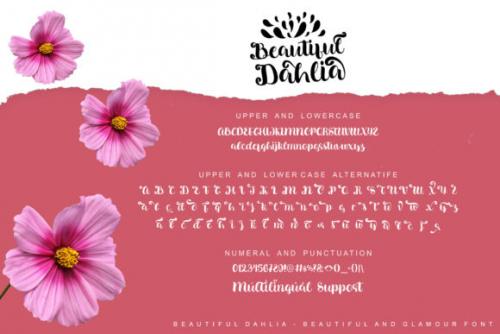 Beautiful-Dahlia-Font-4