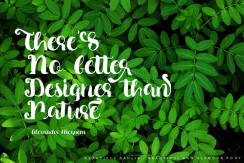 Beautiful-Dahlia-Font-5