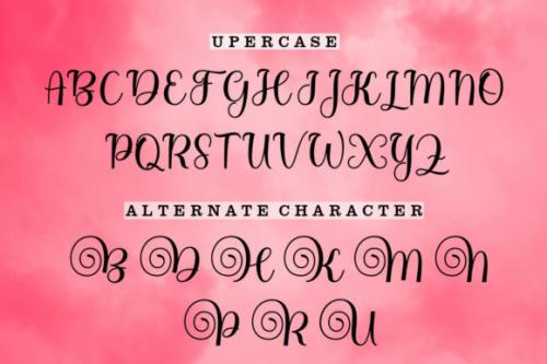 Bitgette-Script-Font-5