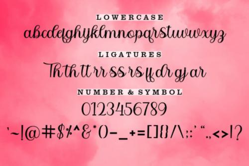 Bitgette-Script-Font-6