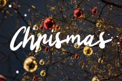 Charlene-Script-Font-4