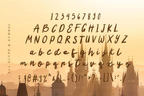 Charlene-Script-Font-5