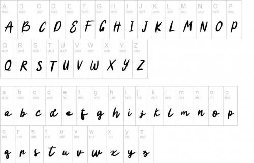 Charlene-Script-Font-8