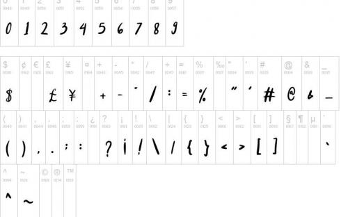 Charlene-Script-Font-9