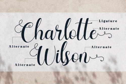 Charlotte-Wilson-Font-1