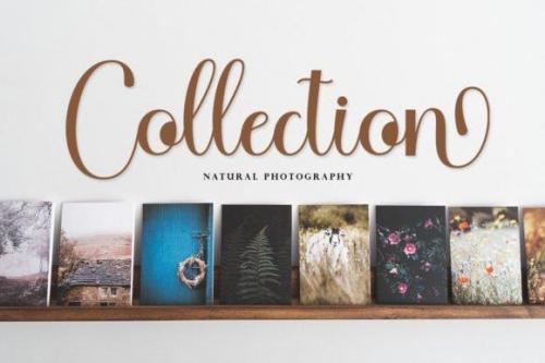 Chigoda-Script-Font-5