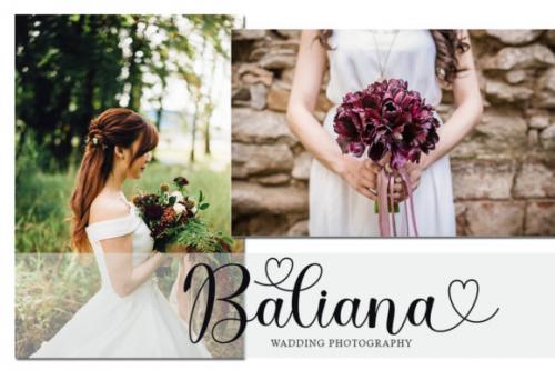 Dona-Doni-Script-Font-1