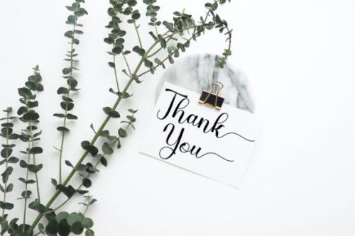 Dona-Doni-Script-Font-11