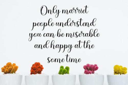 Dona-Doni-Script-Font-5