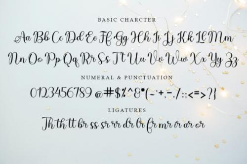 Dona-Doni-Script-Font-6