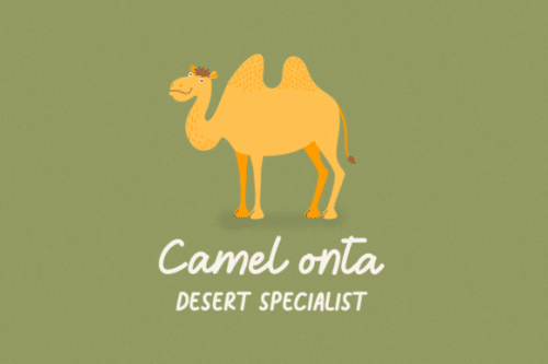 Dreame-Patter-Script-Font-3