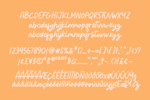 Dreame-Patter-Script-Font-4