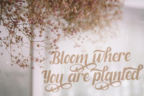 Fendysa-Bold-Calligraphy-Font-6