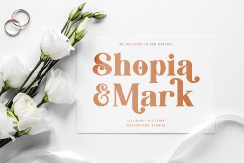 Fredella-Elegant-Serif-Font-4