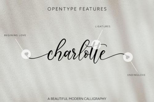 Lisalovely-Calligraphy-Font-5