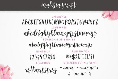 Malisia-Script-Font-7