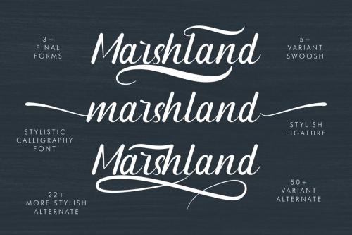 Marshland-Font-3