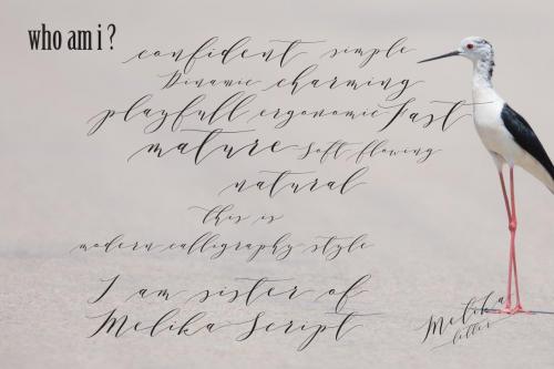 Melika-Letter-Font-4