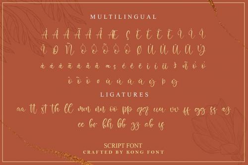 Robinette-Font-8