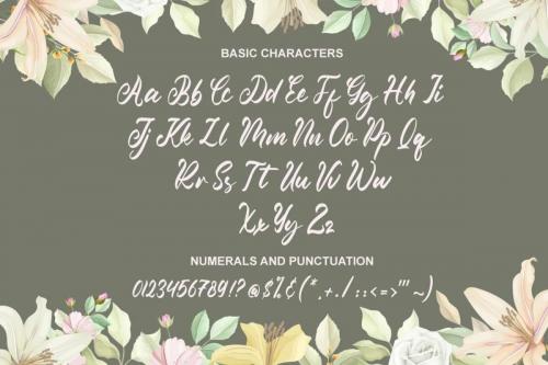 Shamora-Font-12