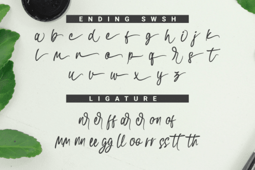 Swishine-Font-2