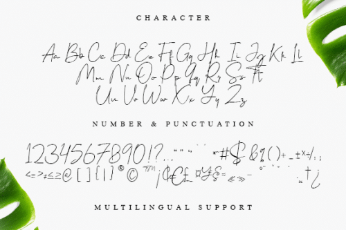 Tarendra-Naushad-Font-10