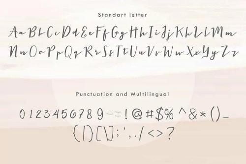 The-Signer-Font-4
