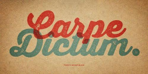 Thirsty-Rough-Font-10