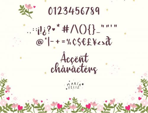 Wonderful-Moment-Font-