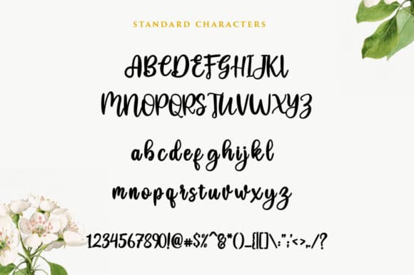 Heysweet-Script-Font-8