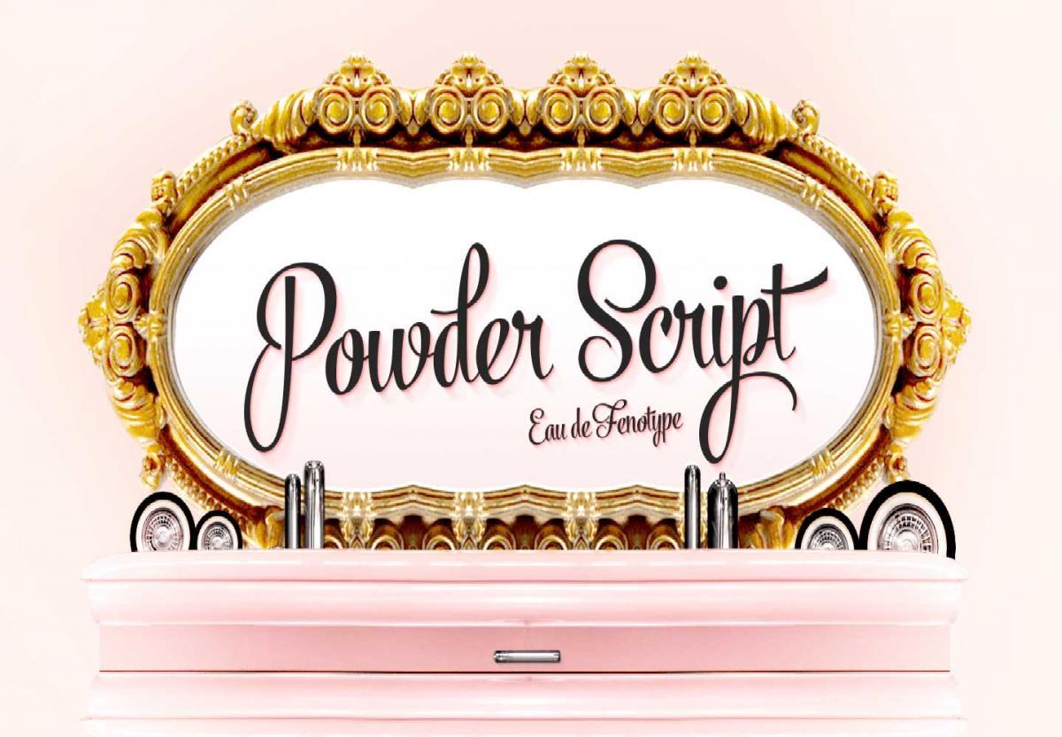 Powder-Script-Font-0
