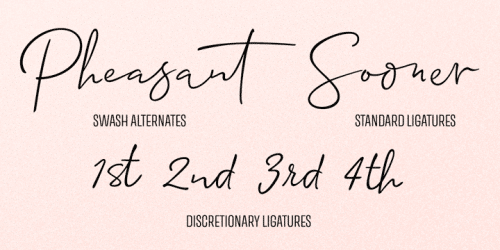 Allison-Script-Font-9