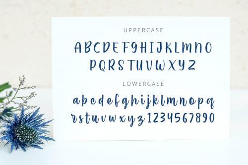 Amatemora-Handwritten-Script-Font-5