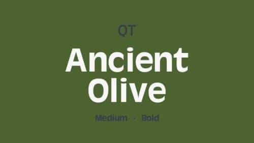 Ancient-Olive-Sans-Serif-Font-1
