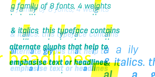 Antartida-Font-5