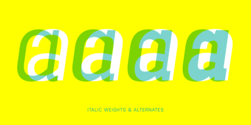 Antartida-Font-6