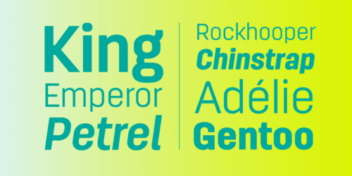 Antartida-Font-7