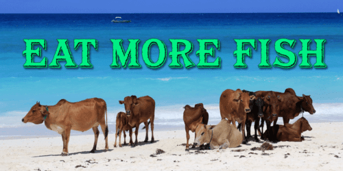 Bayside-Tavern-Font-7