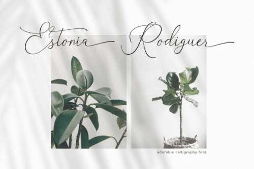 Belinda-Carolyne-Font-5