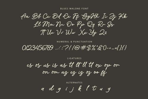 Blues-Malone-Monoline-Signature-Font-10