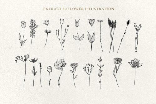 British-Signature-Script-Font-11