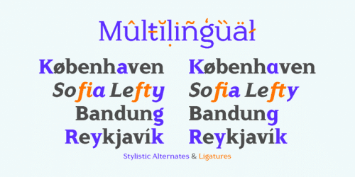 Counte-Slab-Serif-Font-7