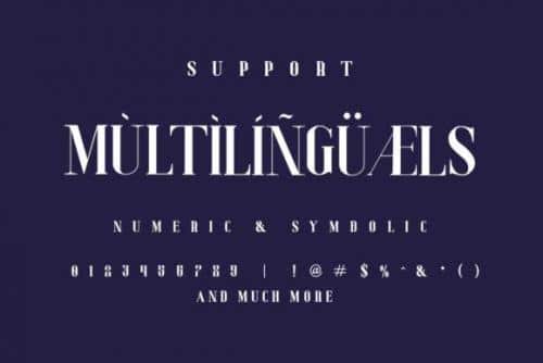 Deluxe-Luxury-Serif-Font-Family-5